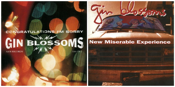 new miserable experience gin blossoms rar
